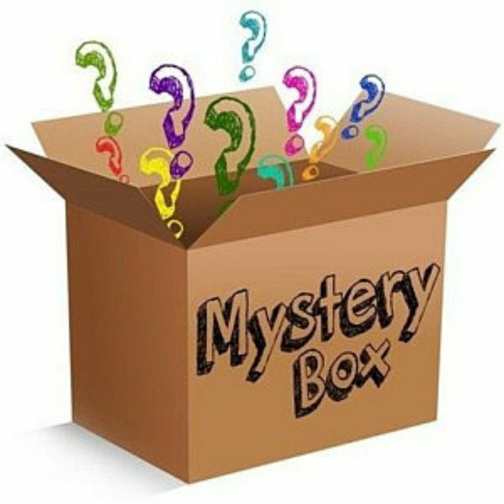 WOMEN'S TOPS MYSTERY BOX